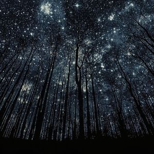 Meet your Posher, Kristie